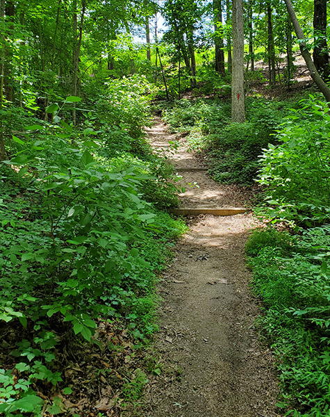 Hiking trails