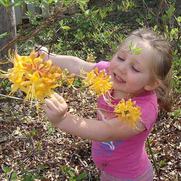 Support Elachee - Elachee Nature Science Center